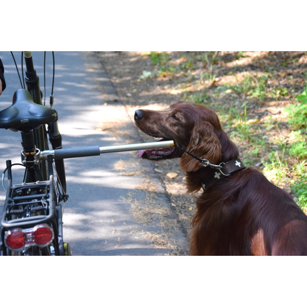 Dog bicycle hot sale leash